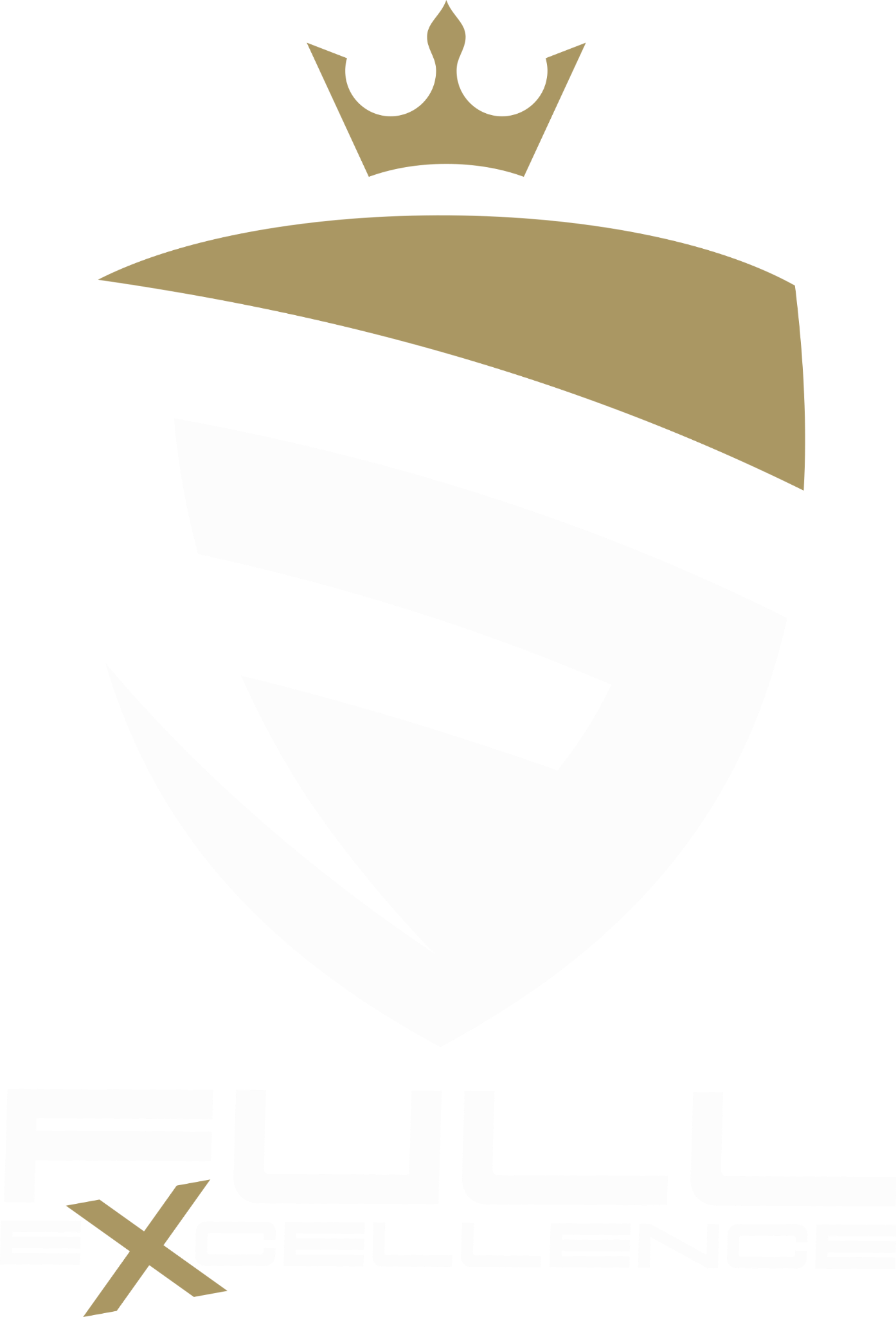 Logo FULL EXCELLENCE DETAILING